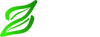 Zaad