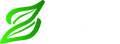 Zaad